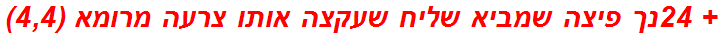 + 24נך פיצה שמביא שליח שעקצה אותו צרעה מרומא (4,4)