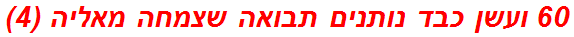 60 ועשן כבד נותנים תבואה שצמחה מאליה (4)