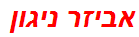 אביזר ניגון