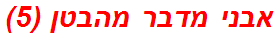 אבני מדבר מהבטן (5)