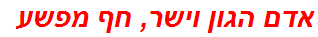 אדם הגון וישר, חף מפשע