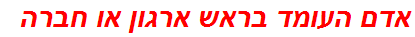 אדם העומד בראש ארגון או חברה