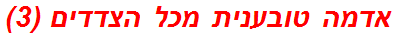 אדמה טובענית מכל הצדדים (3)