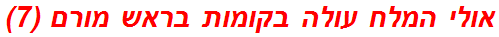 אולי המלח עולה בקומות בראש מורם (7)