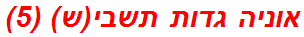 אוניה גדות תשבי(ש) (5)