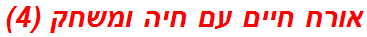 אורח חיים עם חיה ומשחק (4)