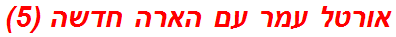 אורטל עמר עם הארה חדשה (5)