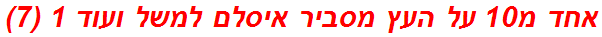 אחד מ10 על העץ מסביר איסלם למשל ועוד 1 (7)