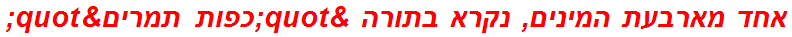 אחד מארבעת המינים, נקרא בתורה "כפות תמרים"