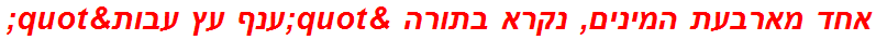 אחד מארבעת המינים, נקרא בתורה "ענף עץ עבות"