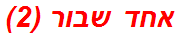 אחד שבור (2)