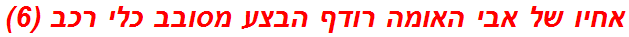 אחיו של אבי האומה רודף הבצע מסובב כלי רכב (6)