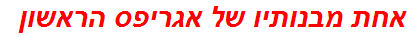 אחת מבנותיו של אגריפס הראשון