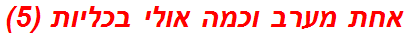 אחת מערב וכמה אולי בכליות (5)