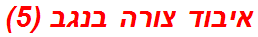 איבוד צורה בנגב (5)