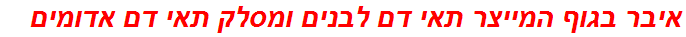 איבר בגוף המייצר תאי דם לבנים ומסלק תאי דם אדומים