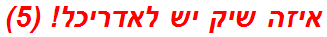 איזה שיק יש לאדריכל! (5)