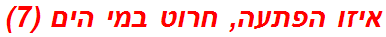 איזו הפתעה, חרוט במי הים (7)