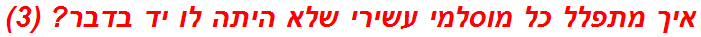 איך מתפלל כל מוסלמי עשירי שלא היתה לו יד בדבר? (3)