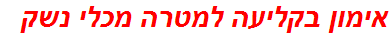 אימון בקליעה למטרה מכלי נשק