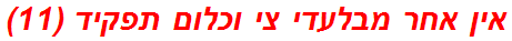 אין אחר מבלעדי צי וכלום תפקיד (11)