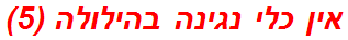 אין כלי נגינה בהילולה (5)