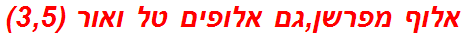 אלוף מפרשן,גם אלופים טל ואור (3,5)