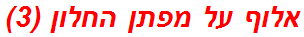 אלוף על מפתן החלון (3)