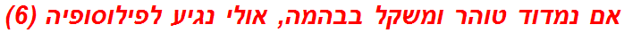 אם נמדוד טוהר ומשקל בבהמה, אולי נגיע לפילוסופיה (6)