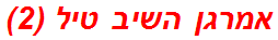 אמרגן השיב טיל (2)