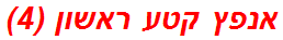 אנפץ קטע ראשון (4)