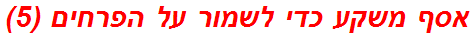 אסף משקע כדי לשמור על הפרחים (5)