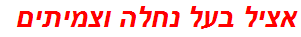 אציל בעל נחלה וצמיתים