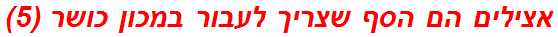 אצילים הם הסף שצריך לעבור במכון כושר (5)