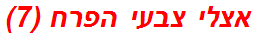 אצלי צבעי הפרח (7)