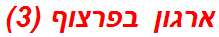 ארגון בפרצוף (3)