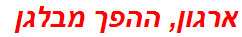 ארגון, ההפך מבלגן