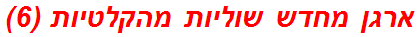 ארגן מחדש שוליות מהקלטיות (6)