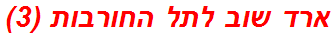 ארד שוב לתל החורבות (3)