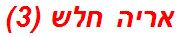 אריה חלש (3)