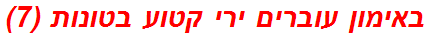 באימון עוברים ירי קטוע בטונות (7)