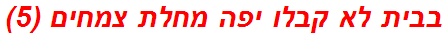 בבית לא קבלו יפה מחלת צמחים (5)