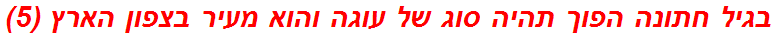 בגיל חתונה הפוך תהיה סוג של עוגה והוא מעיר בצפון הארץ (5)