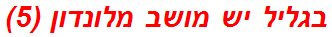 בגליל יש מושב מלונדון (5)