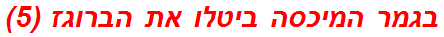 בגמר המיכסה ביטלו את הברוגז (5)