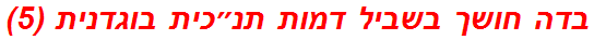 בדה חושך בשביל דמות תנ״כית בוגדנית (5)