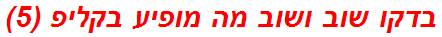 בדקו שוב ושוב מה מופיע בקליפ (5)