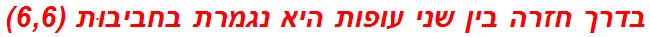 בדרך חזרה בין שני עופות היא נגמרת בחביבוּת (6,6)