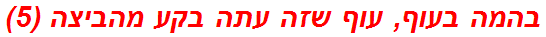 בהמה בעוף, עוף שזה עתה בקע מהביצה (5)