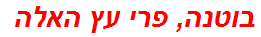 בוטנה, פרי עץ האלה